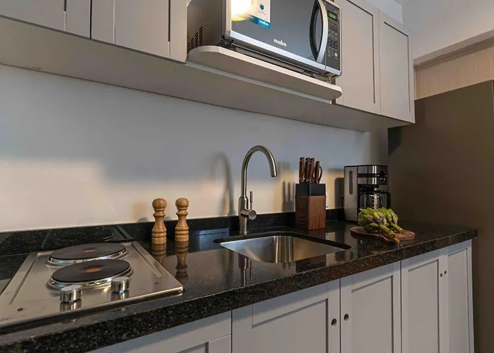 Apartamento Ejecutivos, Lujo Y Confort En El Corazon De Polanco